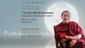 Picture for a program called :The Six Mindfulnesses with Dzogchen Ponlop Rinpoche