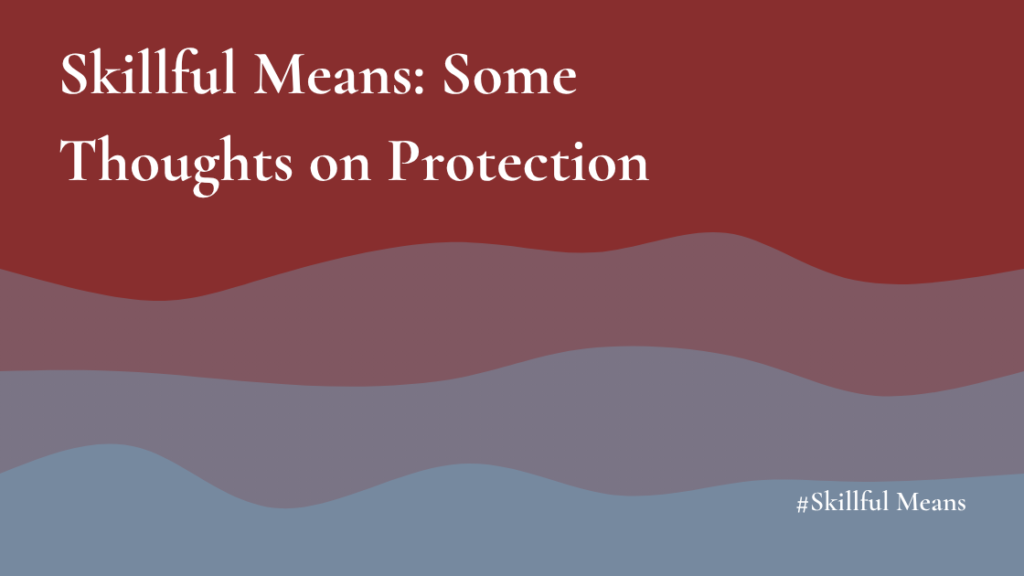 The images shows the title and subtitle of a new article in the series: Skillful Means. It is called: Skillful Means: Some Thoughts on Protection