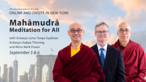 graphic for a program called Mahamudra meditation for all