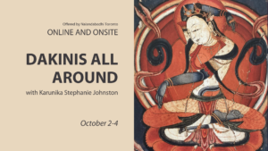 Program called Dakinis all around with Stephanie Johston