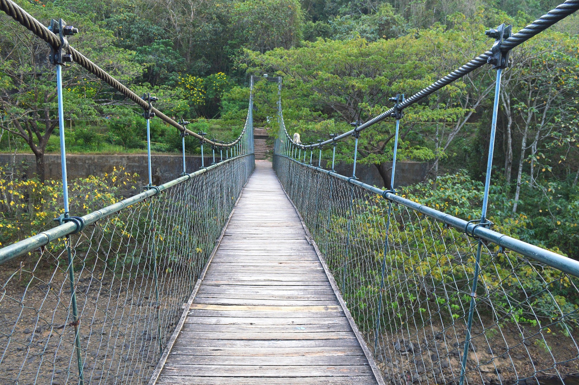 Bridge to the Vajrayana Course