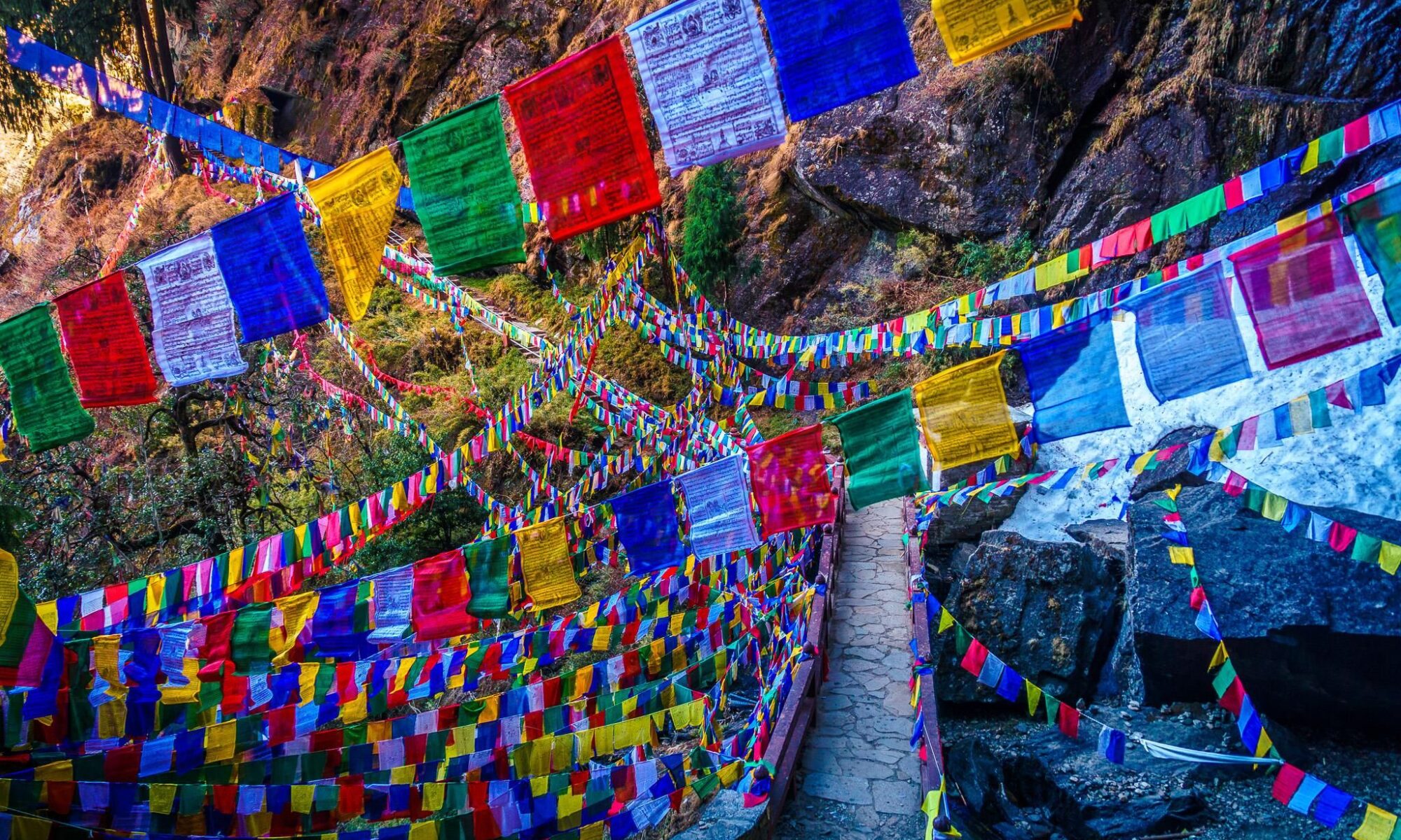 Célébrons le Losar – Nouvel An tibétain