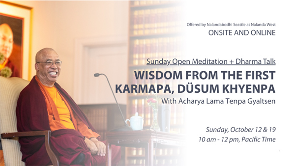 Wisdom from the First Karmapa, Düsum Khyenpa