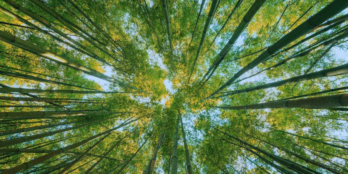 How to Find Meaning in Our Lives