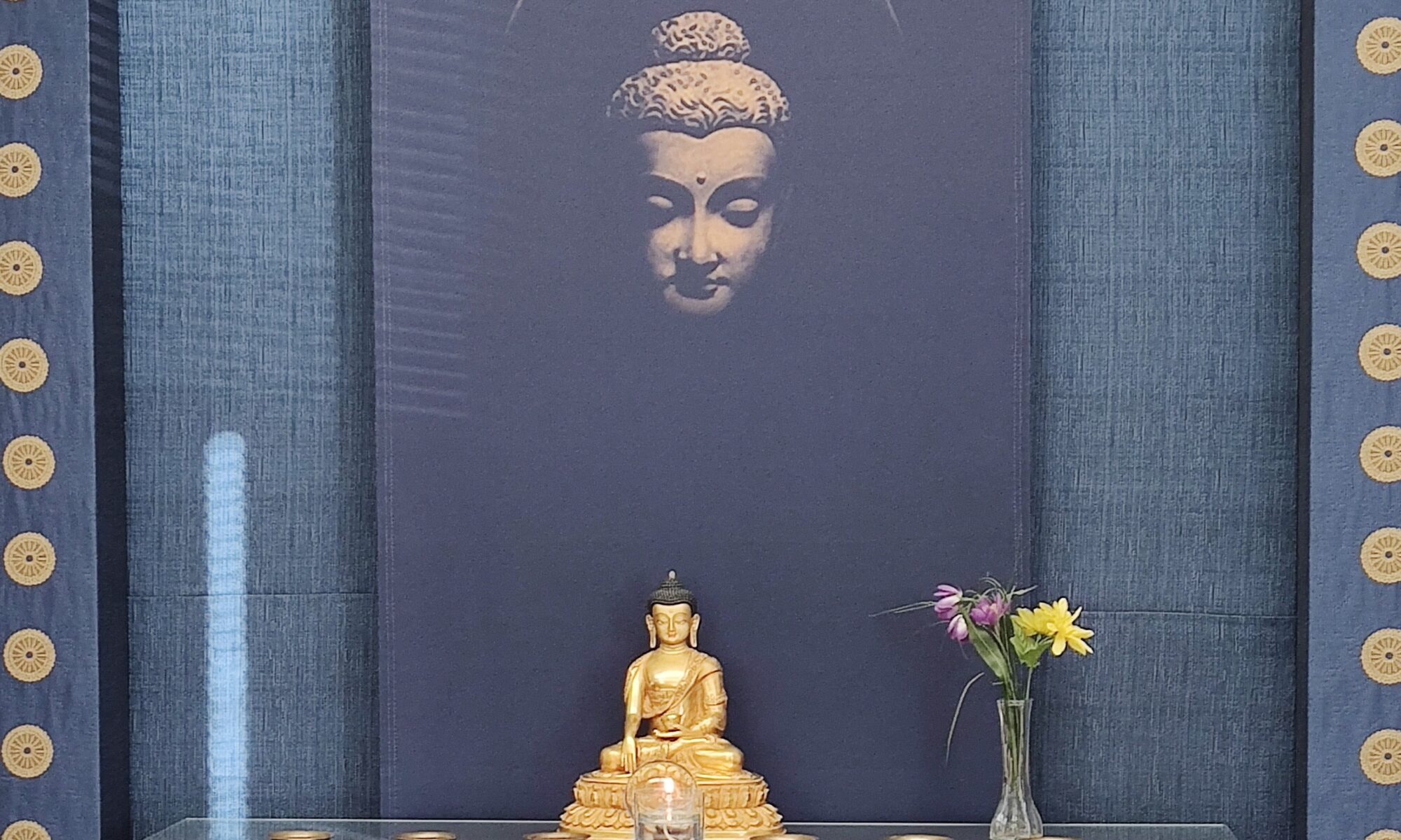 Fresh Heart: A Meditation Course for the Curious